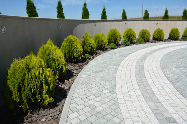 Best Driveway Pavers Near Me  in Frenchtown, MT